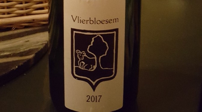Bokke Vlierbloesem