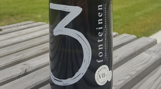 3 Fonteinen Speling van het Lot VII.iv: Zotte Kadeeën: Bosbes + Framboos – Blended & Alive