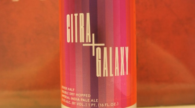 Other Half Double Dry Hopped Citra + Galaxy
