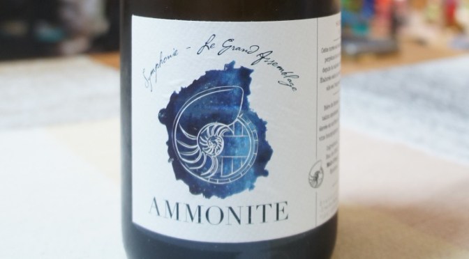 Ammonite Symphonie Solera IV